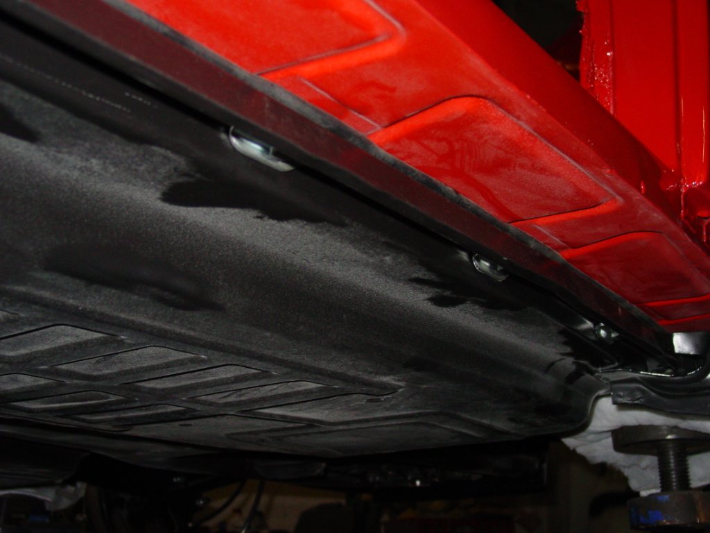 DSC06943 (2020_03_22 18_27_03 UTC).JPG