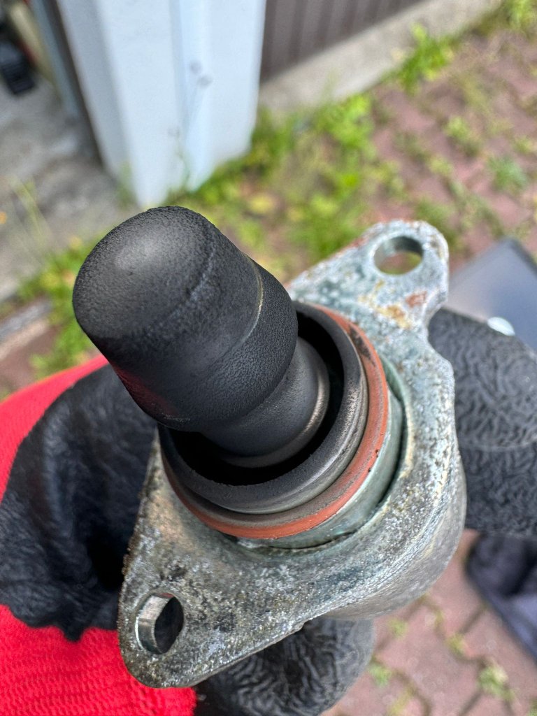 WhatsApp Bild 2024-07-23 um 16.53.54_1dbb4964.jpg