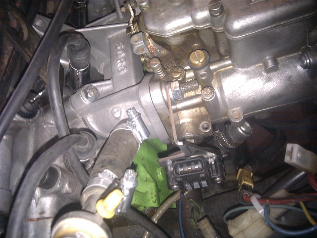 IMG_20120413_145059 (Medium).jpg