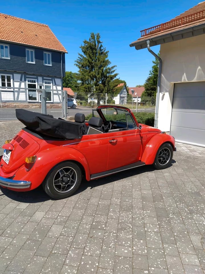 Käfer_6.jpg