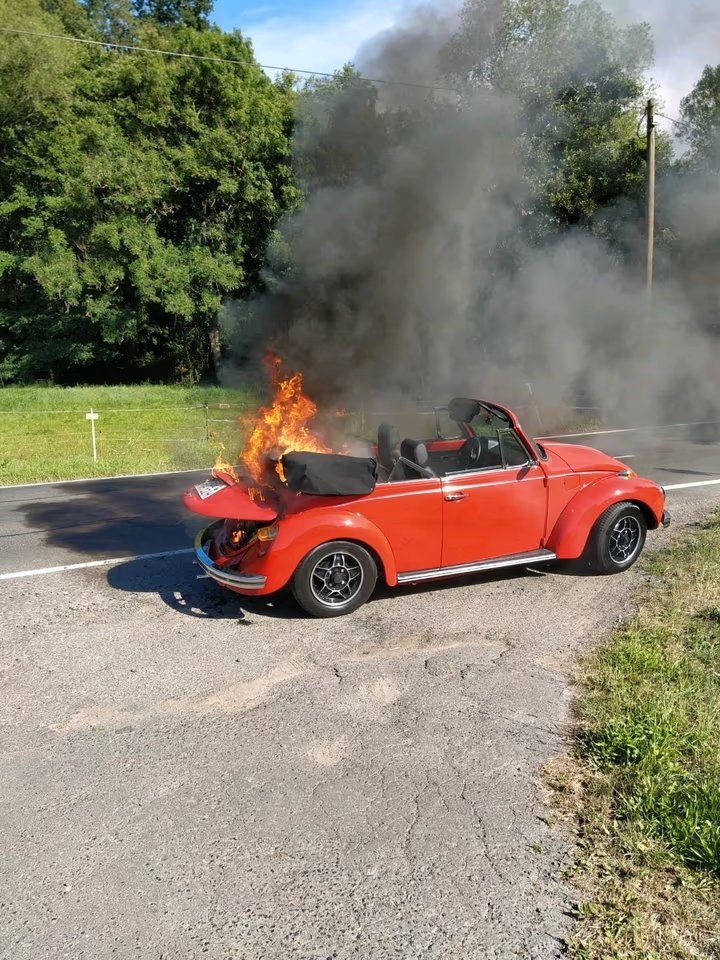 Käfer_2.jpg