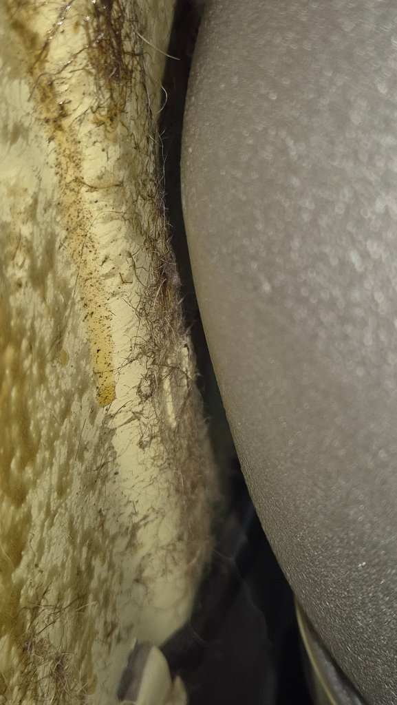 20250611_140323.jpg