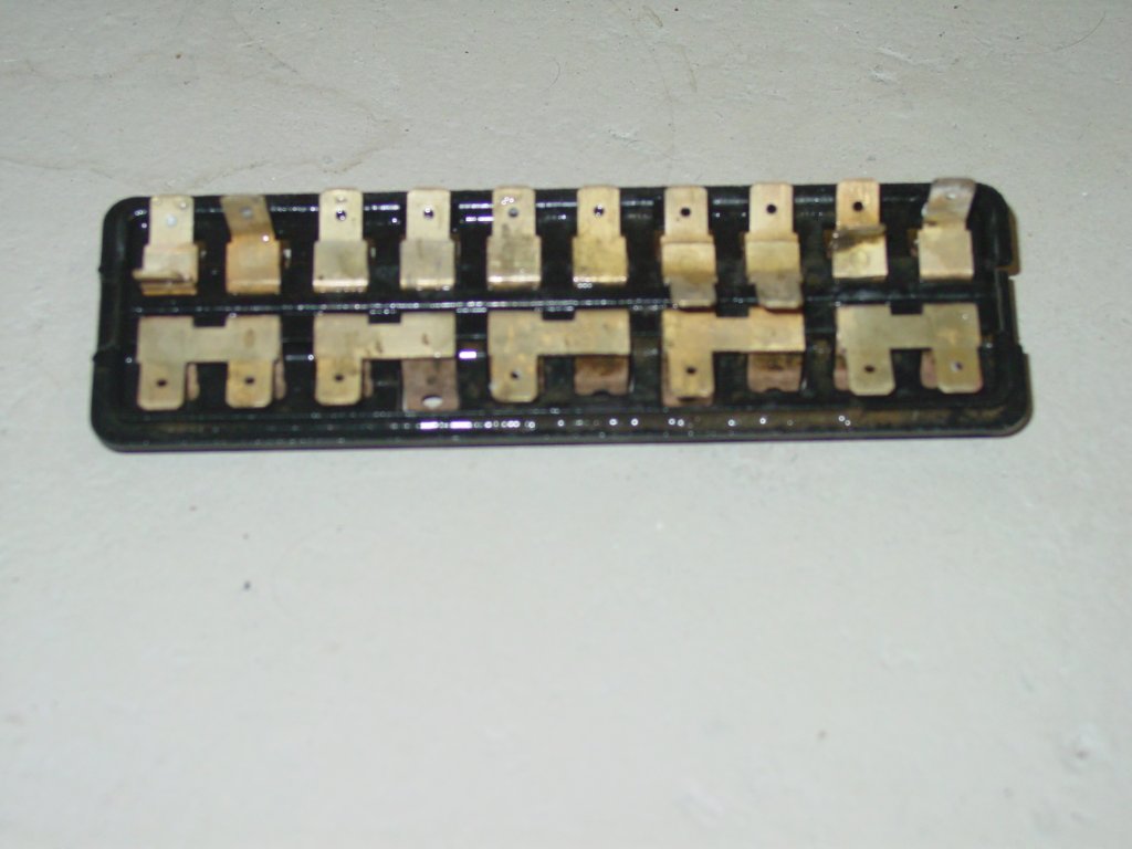 DSC02311.JPG
