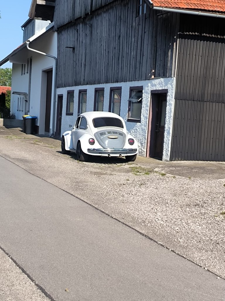 bild2.jpg