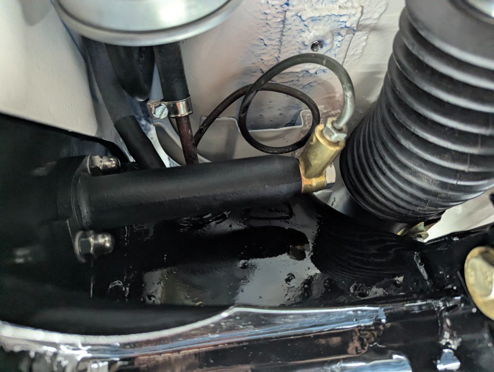 PXL_20260404_101950198 (Mittel).jpg