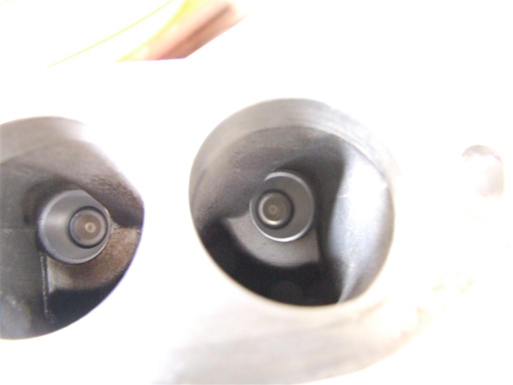 DSCF9904 (Medium).JPG