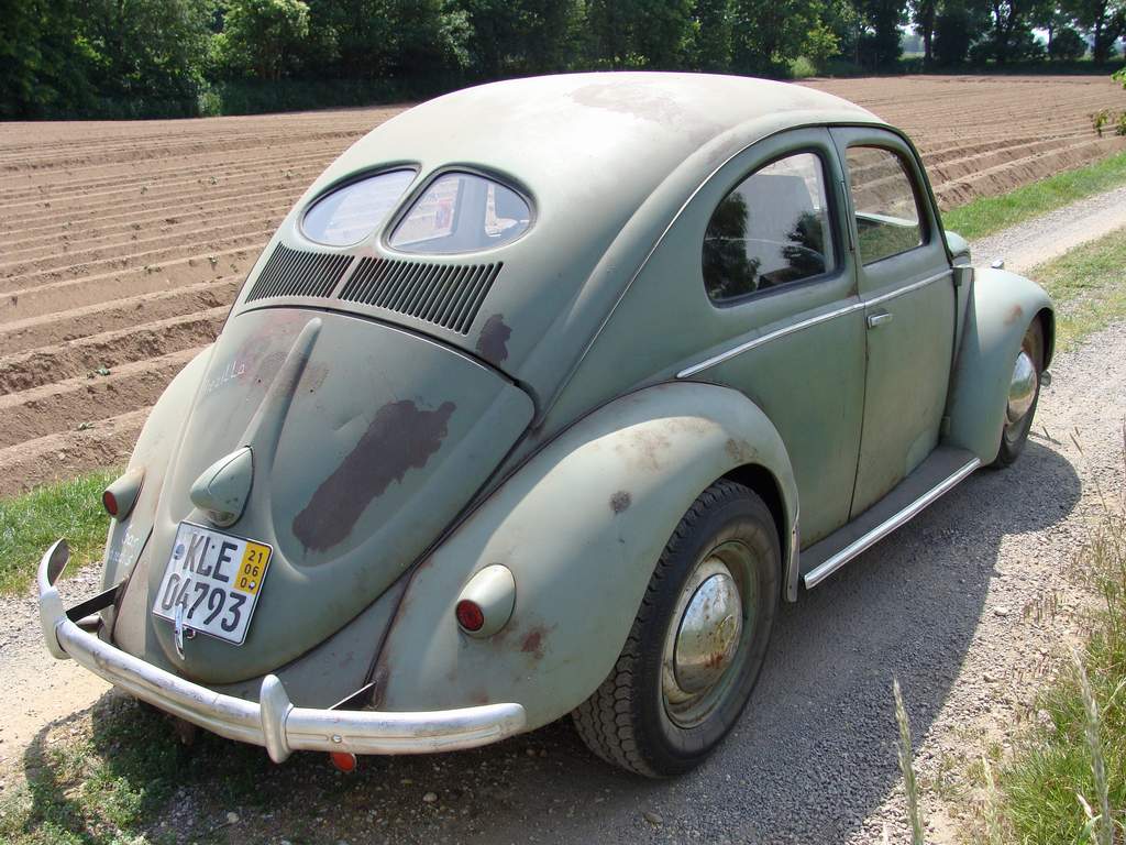 Bild 793.jpg