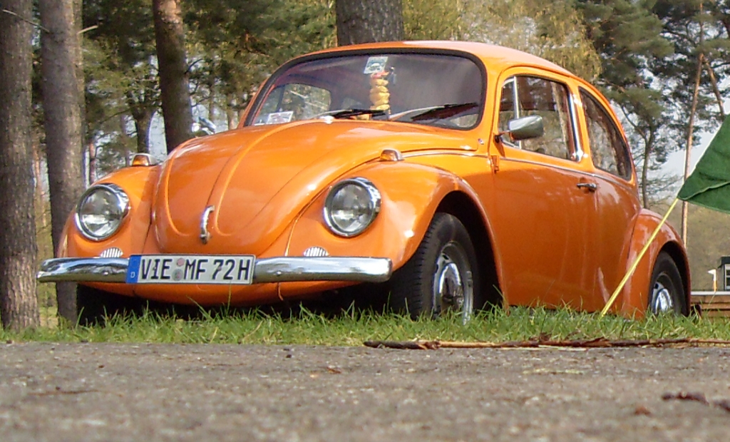 SDC10291.JPG