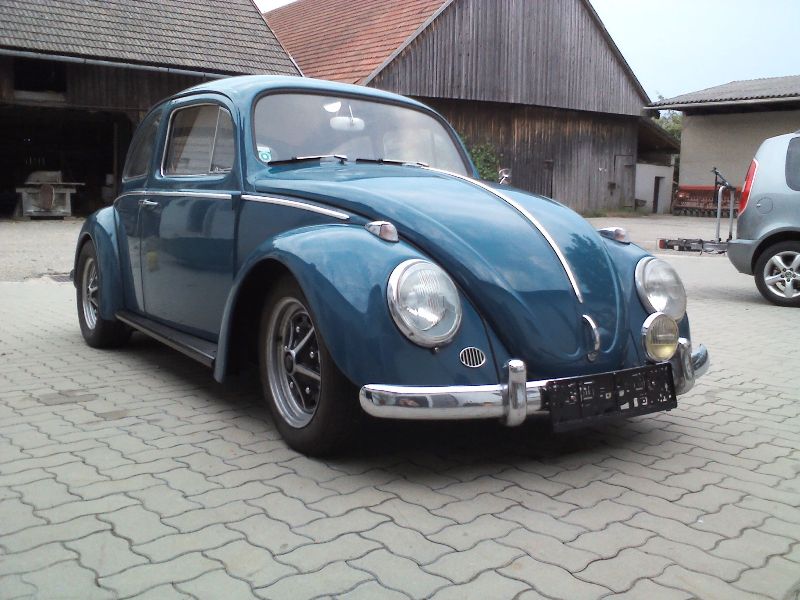 IMG305 - Kopie.jpg